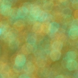 Bokeh-496
